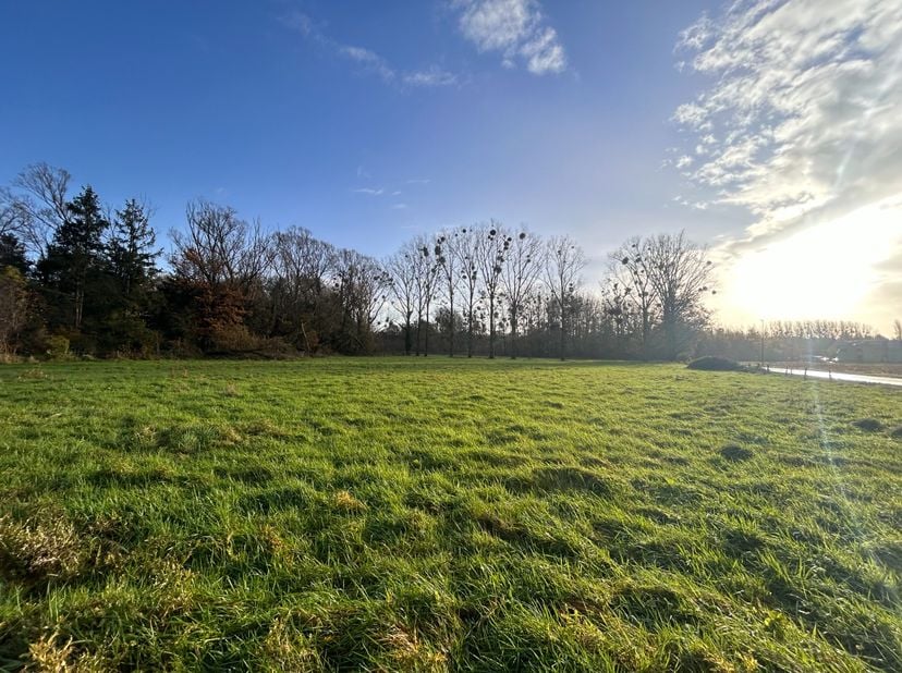 Wondermooi stuk bouwgrond op 3min rijden van de E314!&lt;br /&gt;
&lt;br /&gt;
Privacy gegarandeerd: rechts van de bouwgrond is het natuurgebied, waardoor u het p