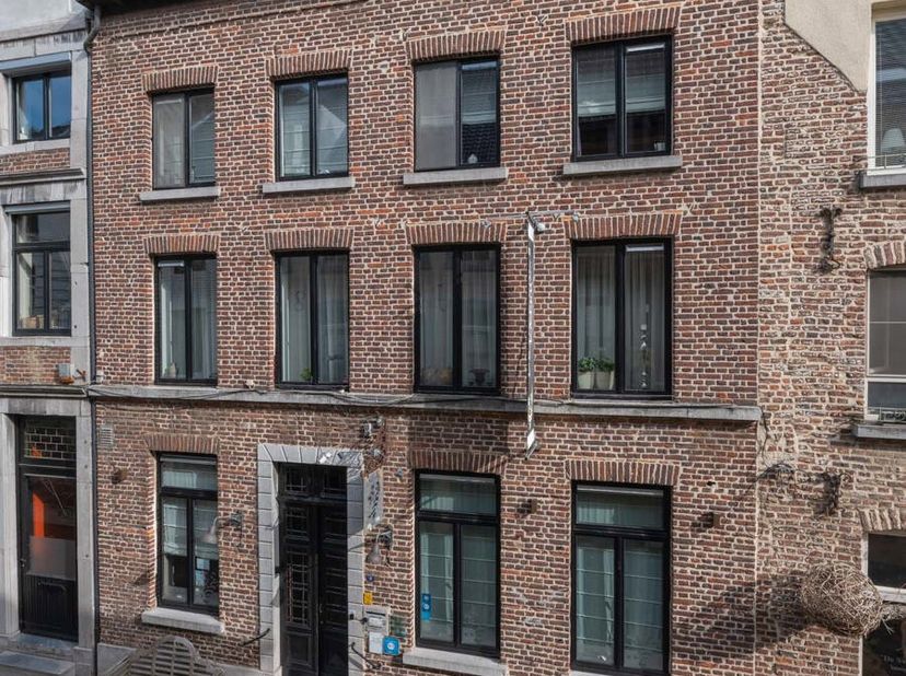 Bien professionnel à vendre
                    à 3680 Maaseik