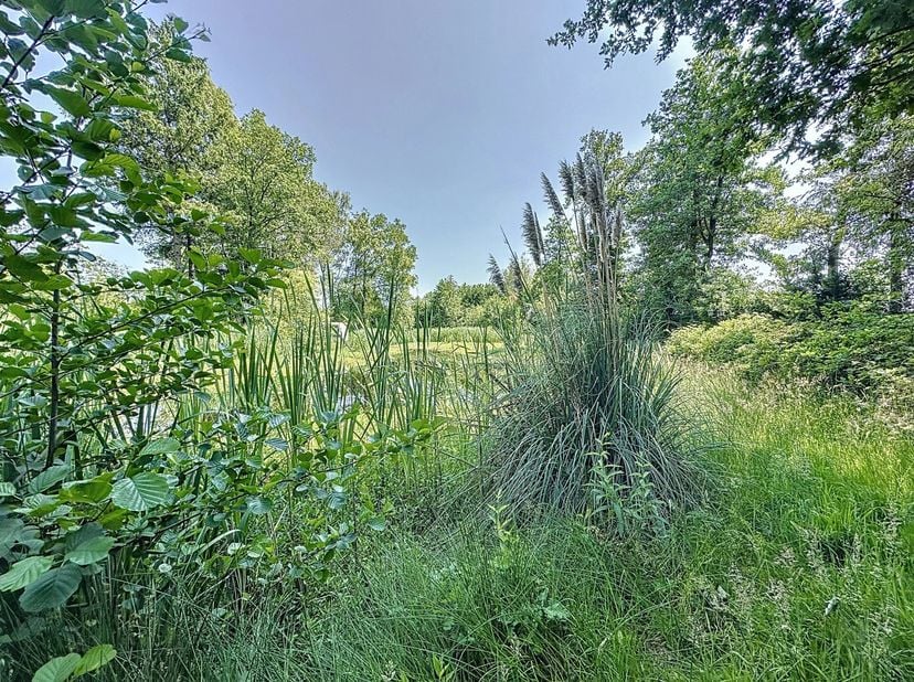 Bent u op zoek naar een rustige plek om te ontspannen in de natuur, met ruimte om een recreatiewoning te bouwen? Deze prachtige recreatiegrond van 215