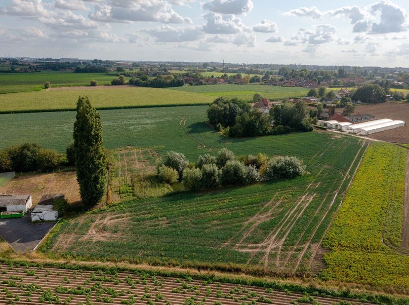 Geniet van de rust en sereniteit van het platteland op deze prachtige locatie. Aan het einde van een doodlopende straat bevindt zich een stuk bouwgron