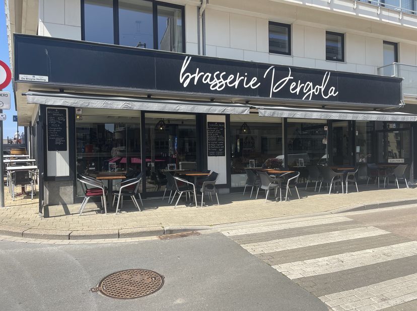 Bien professionnel à vendre
                    à 8420 Wenduine