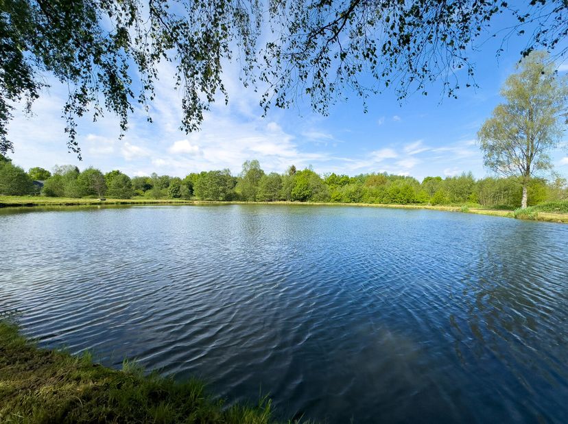 C&#039;est une propriété unique que nous vous présentons ici! Sur un terrain de plus de 2 hectares, vous trouverez une belle bâtisse de 230m2 érigée en ret