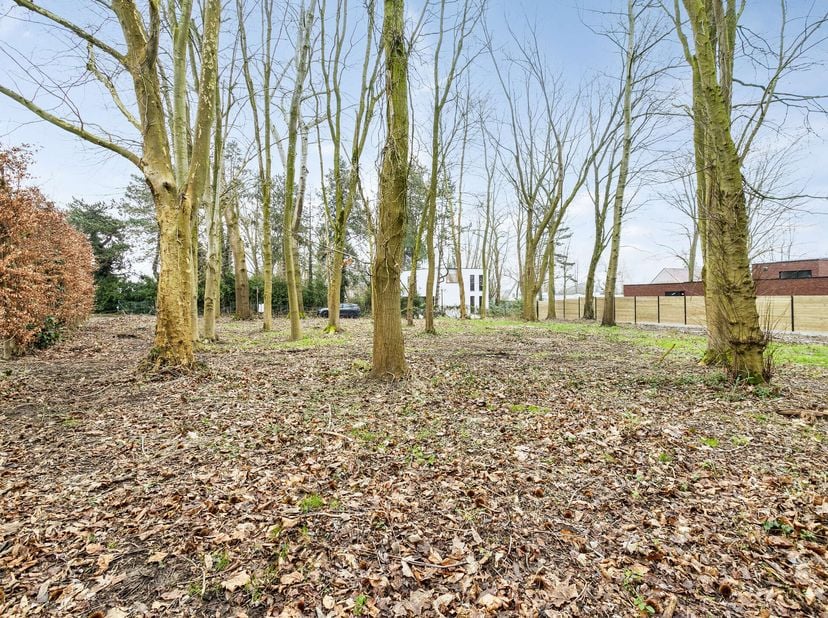 Deze bouwgrond is gelegen in een residentiële buurt in de dorpskern van Dikkelvenne, op wandelafstand van scholen, winkels en openbaar vervoer.  &lt;br /