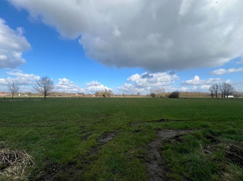 Landbouwgrond te Duffel&lt;br /&gt;
&lt;br /&gt;
Deze landbouwgrond heeft een oppervlakte van 12.020m².&lt;br /&gt;
&lt;br /&gt;
De aard van landbouw en verdere informatie is