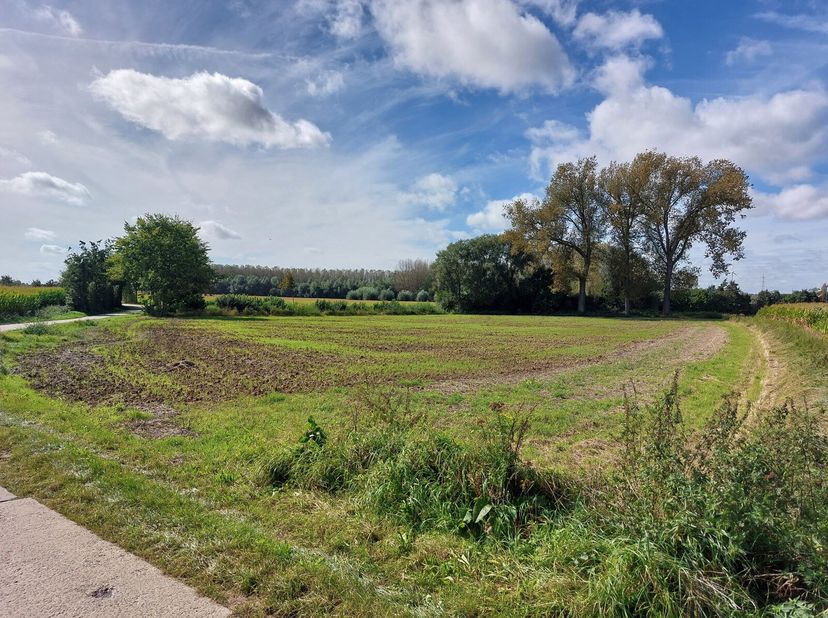 Terrain agricole de 1Ha 72aren 90ca situé au calme. Libre de loyer. Immédiatement accessible. Intéressé? Contactez notre bureau.&lt;br /&gt;
Il est possible