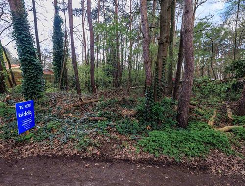                                         Bois à vendre à Zichem, € 105.000
