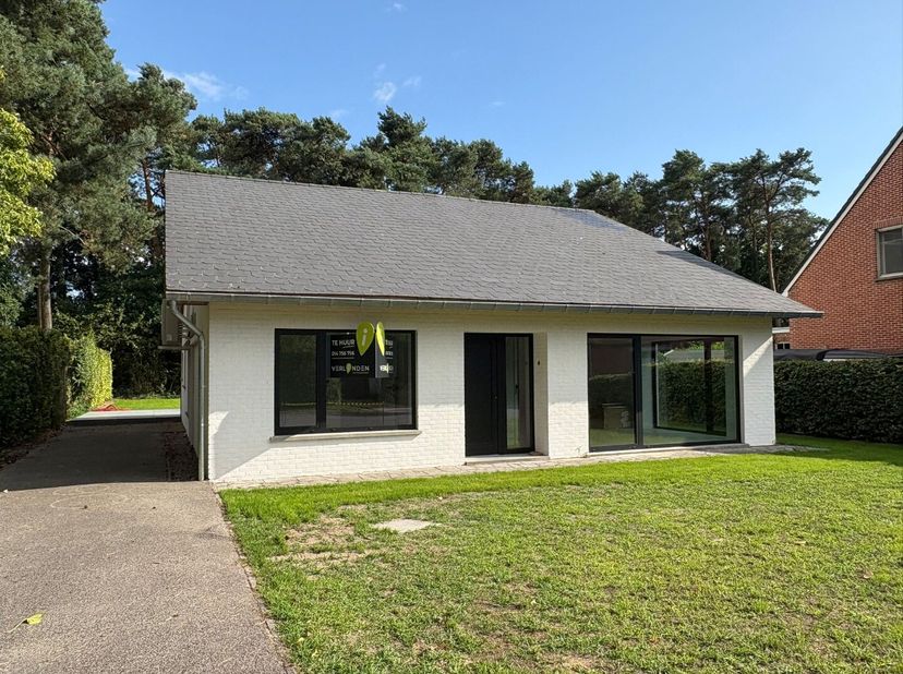 Maison à louer
                    à 2400 Mol