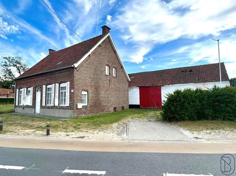 TE RENOVEREN/AF TE BREKEN HOEVE met bijgebouwen. Grote straatbreedte.