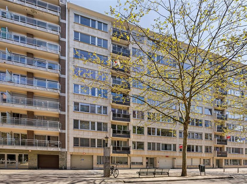 Bienvenue dans ce studio au centre de Louvain ! Avec une surface habitable de 42m², ce studio offre une excellente opportunité pour les étudiants, les