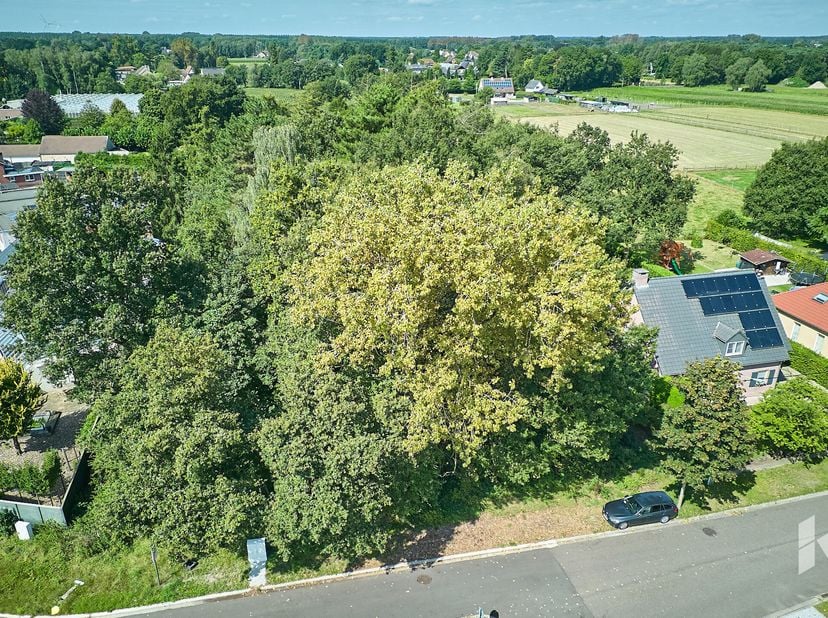 Terrain à vendre
                    à 3930 Hamont