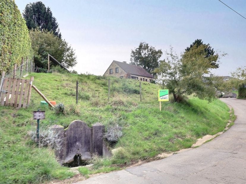 Born, lot 3 : En plein centre du charmant village de Remersdael, dans une petite rue secondaire avec un environnement campagnard et rural, vous trouve