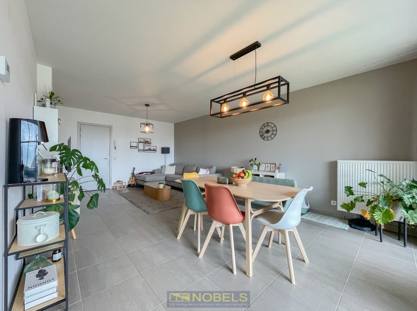 Appartement à louer
                    à 9890 Dikkelvenne