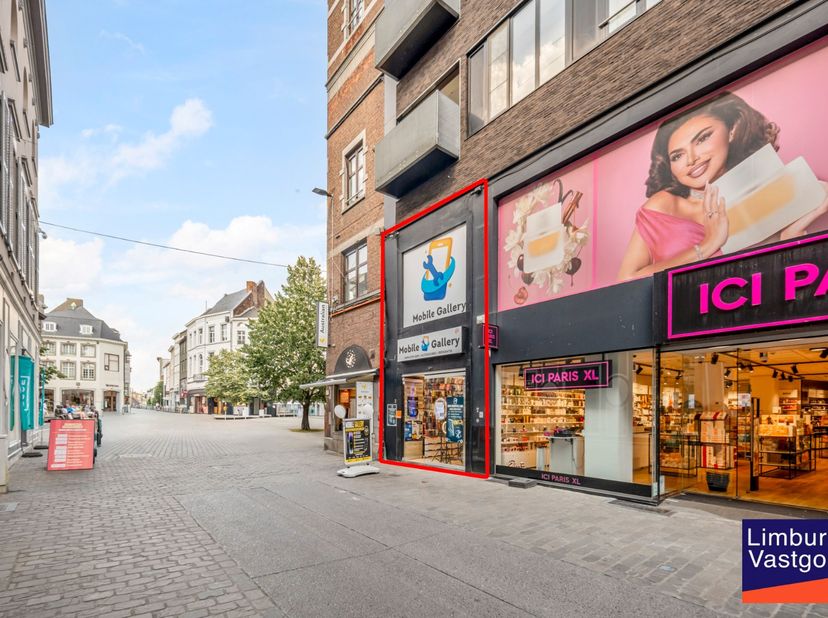 Bien professionnel à vendre
                    à 3500 Hasselt