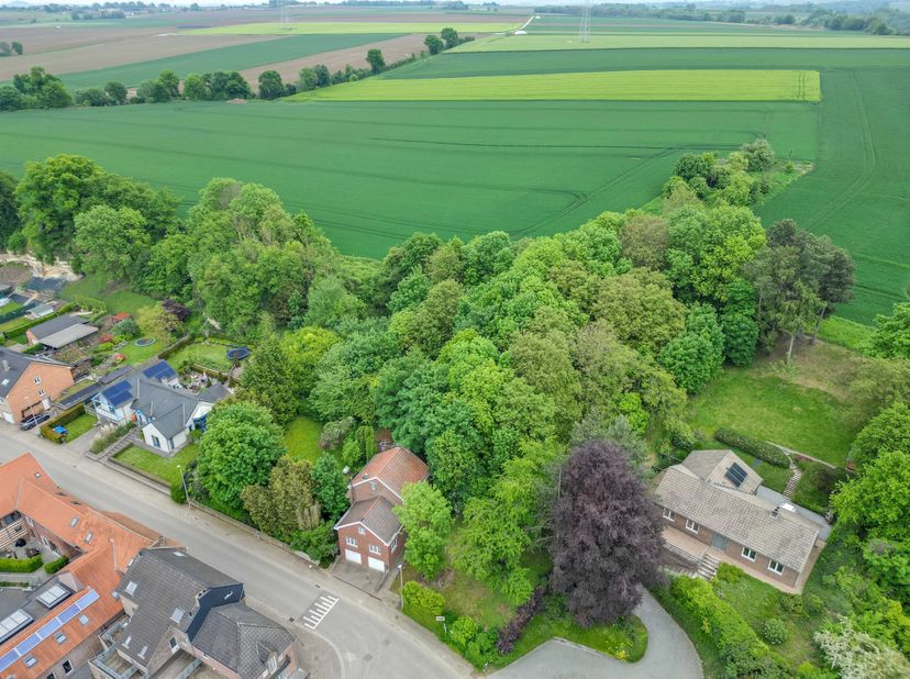 Deze open bebouwing, gelegen aan de Visésteenweg 424 in Tongeren-Borgloon, biedt tal van mogelijkheden voor wie op zoek is naar een renovatieproject.<