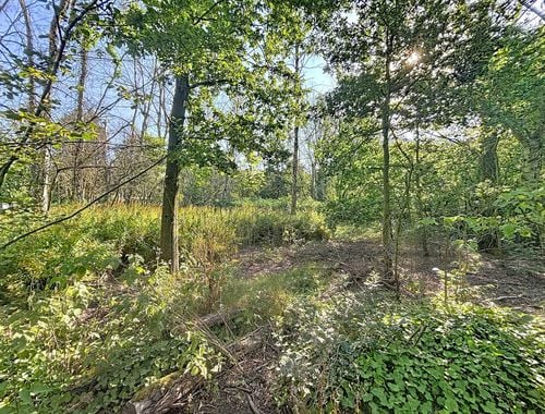                                         Landbouwgrond te koop in Wuustwezel, € 19.000
