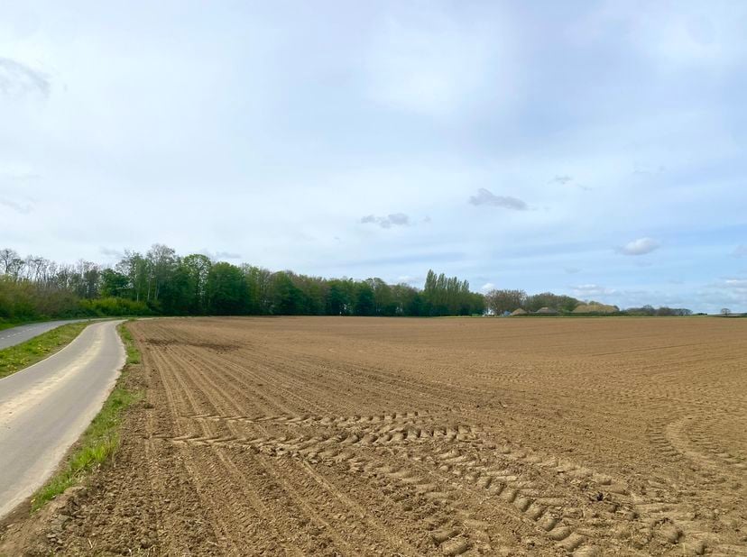 Landbouwgrond met een oppervlakte van circa 3 hectare te Bertem<br />
Het perceel is gelegen in een rustige en landelijke omgeving en beschikt over ee