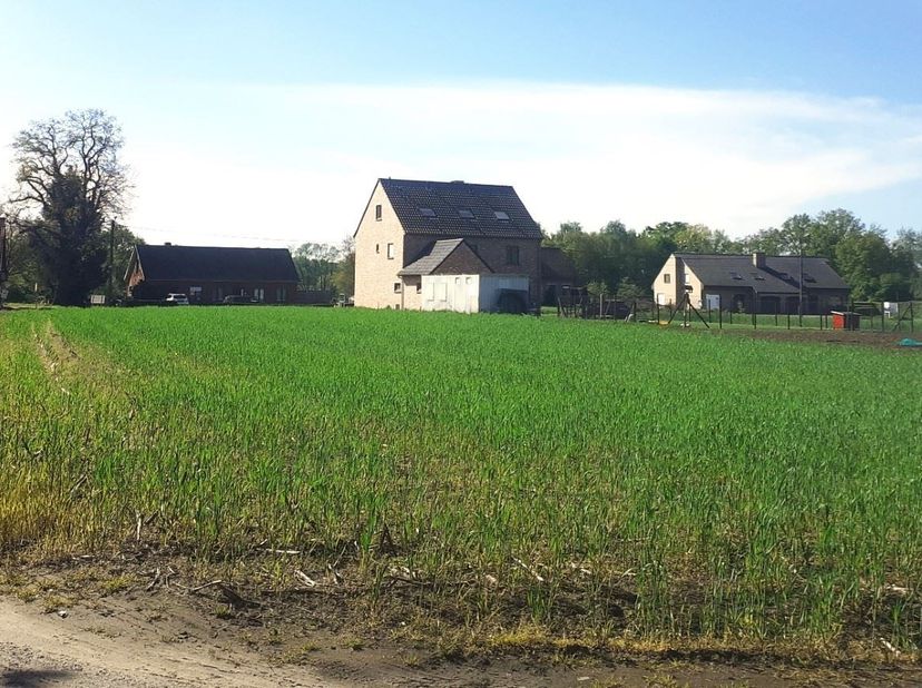 Spacieux terrain à bâtir (2544m²) ouvert à la construction à Baal.<br />
<br />
Vous êtes à la recherche d'un grand terrain à bâtir ouvert à la cons