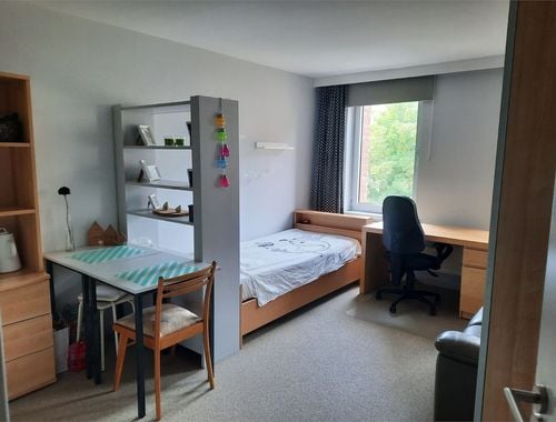                                         Studio à louer à Leuven, € 660
