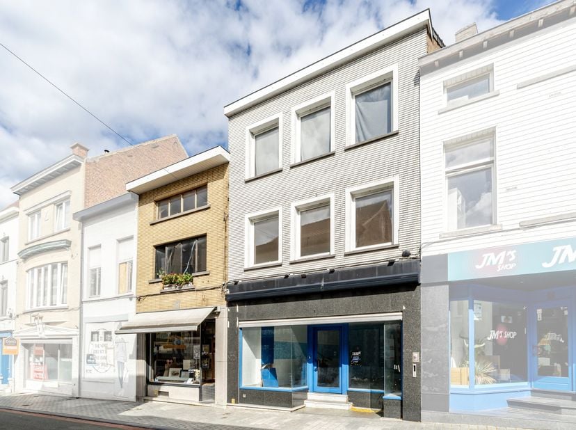 Bien professionnel à vendre à Wijnstraat 9/11,
                    9600 Renaix