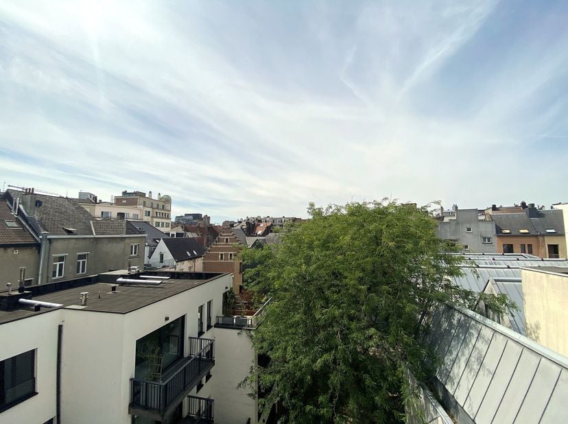 Op een steenworp van de Grote Markt van Brussel bevindt zich deze prachtige loft van 193 m², waar ruimte, licht en rust harmonieus samenkomen. De loft