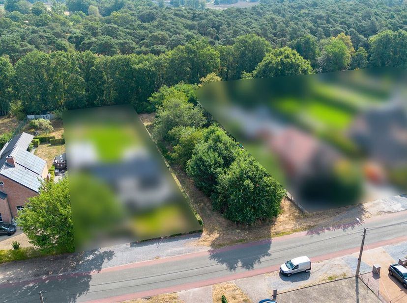 Het perceel geniet van een unieke ligging en grenst rechtstreeks aan natuurgebied De Teut, één van de mooiste natuurgebieden van Limburg. Vanuit uw to