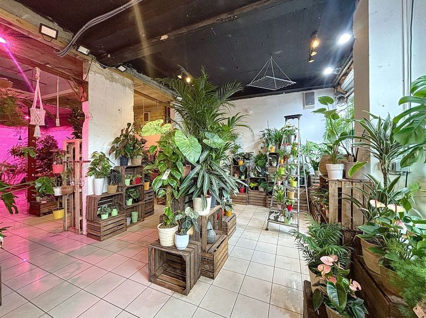 Flageyplein - In de emblematische wijk van Brussel leven als volgt samengesteld: op de begane grond, een grote commerciële ruimte van +/- 140m² - Grot