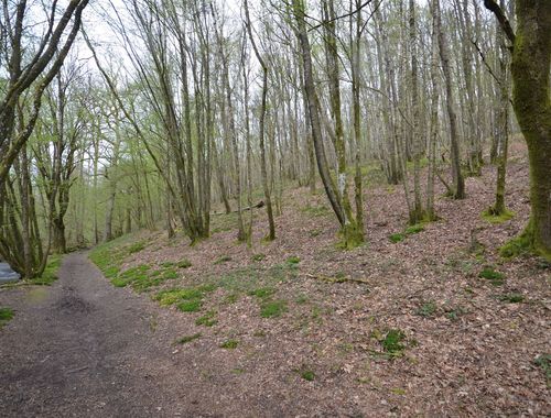                                         Terrain à bâtir à vendre à Oignies-en-Thiérache, € 75.000
