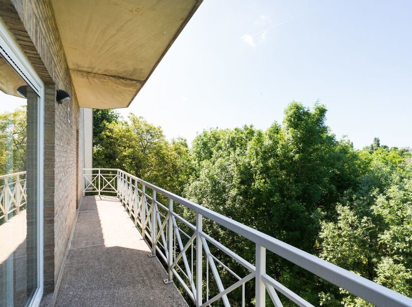 WOLUWE-SAINT-LAMBERT, in de onmiddellijke nabijheid van de Europese School en tal van voorzieningen, schitterend APPARTEMENT (3Ch/2Sdb/PEB: C!!) van i