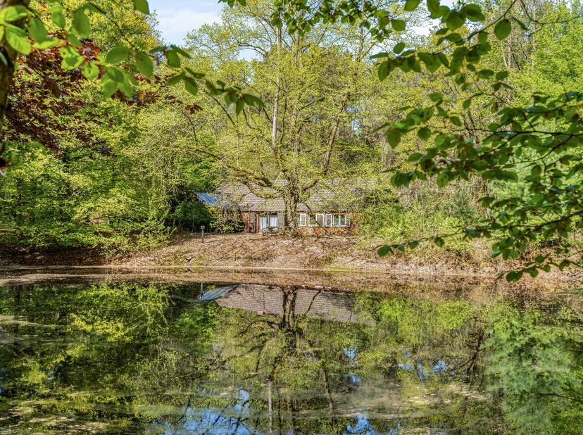 Dans la ville de Geel, jouxtant Winkelomheide, se trouve un domaine de 12 hectares, dont environ 2 hectares de terres agricoles. Sur cette propriété s