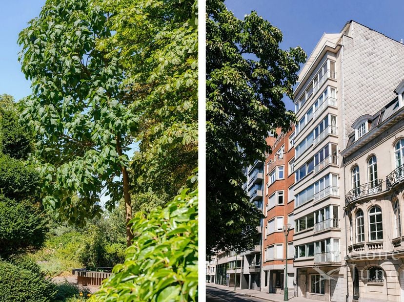 Victoire - Junot a le plaisir de vous présenter cet élégant appartement de 165m² offrant un cadre de vie exceptionnel. Avec son spacieux séjour lumine