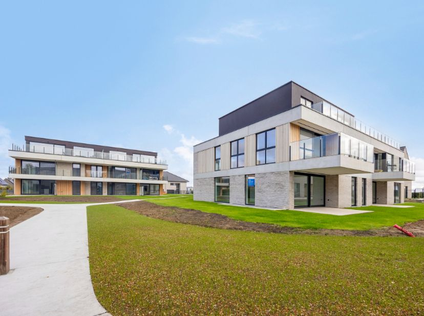 Project te koop in Anjelierenlaan x,
                    9470 Denderleeuw