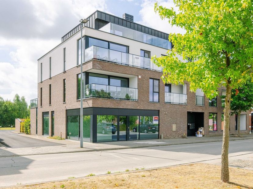 Bedrijfsvastgoed te koop in Parklaan 12 bus 0001,
                    9690 Berchem