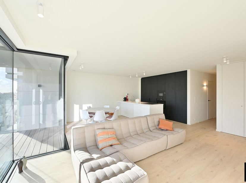 Appartement meublé de nouvelle construction 3 chambres à coucher très lumineux et &amp;nbsp;exposé sud tout près de la place Rubens.<br />
Entrée avec ves