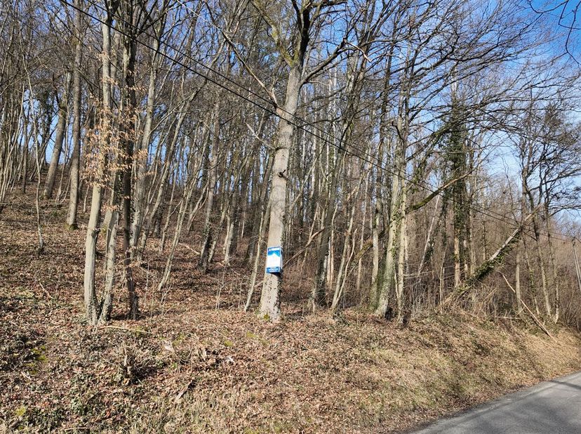 Ce beau terrain en zone habitat est situé sur un site boisé et offre une belle vue sur Bomal-sur-Outhe. Grâce à sa situation au milieu de la verdure,