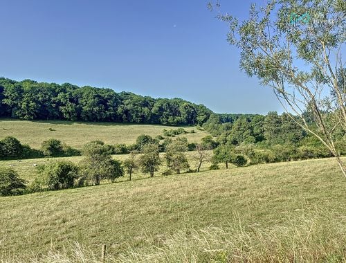                                         Bouwgrond te koop in Lompret, € 59.000
