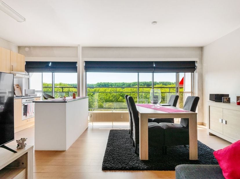 Ruim 2-slaapkamerappartement met 2 terrassen en groen uitzicht<br />
<br />
Dit aangename en instapklare appartement van 90 m², gelegen op de 7de ve