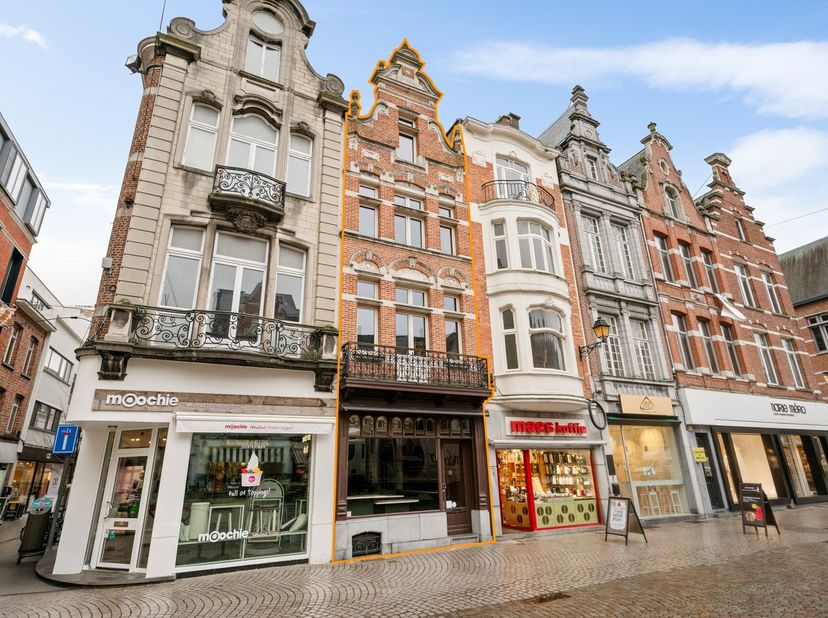 Bien professionnel à vendre
                    à 2800 Mechelen