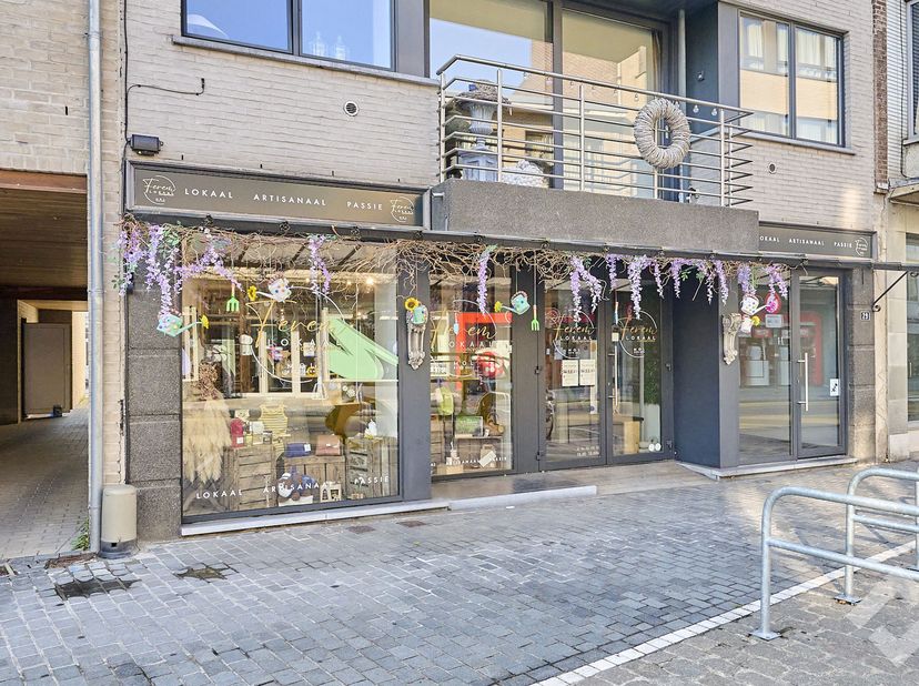 Bien professionnel à vendre à Graaf de Broquevillestraat 29,
                    2400 Mol