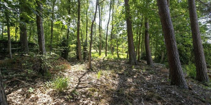 Terrain à vendre à Bois Pinchet 1, 1495 Villers-la-Ville