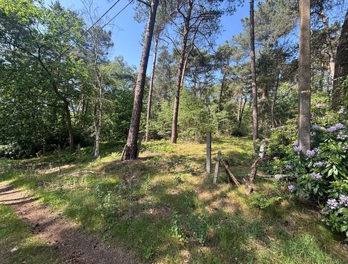                                         Bois à vendre à Meerhout, € 19.000
