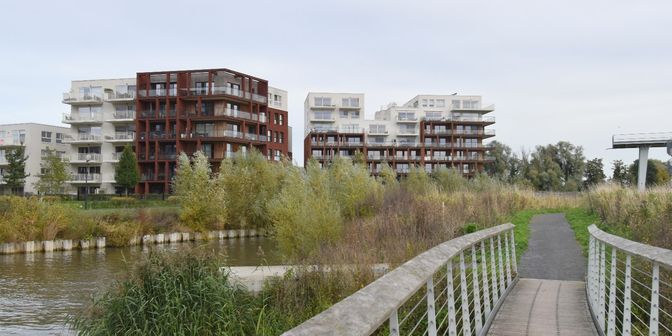 Appartement à louer à 8530 Harelbeke
