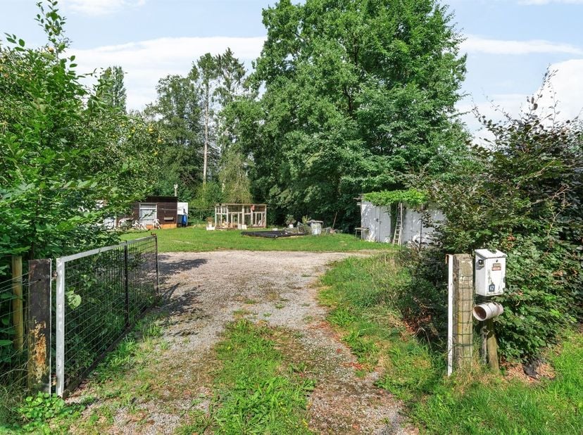 Te renoveren chalet op +- 10 are met potentieel in het groene hart van Rijmenam - ideaal als tweede verblijf! <br />
<br />
Bent u op zoek naar een