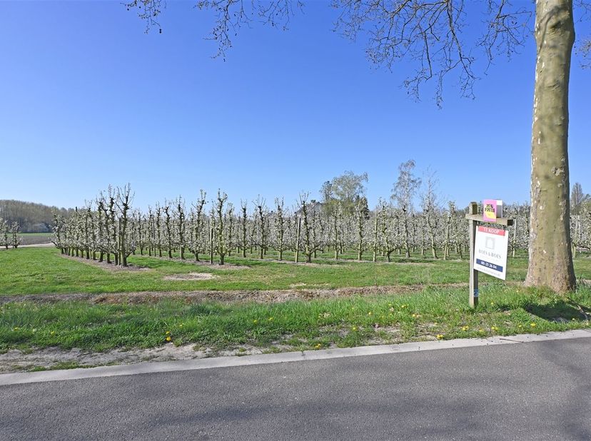 Deze bouwgrond (OB) met een perceelsoppervlakte van 16are80 is zeer rustig gelegen. Met een straatbreedte van ±24m te midden van een residentiële, gro