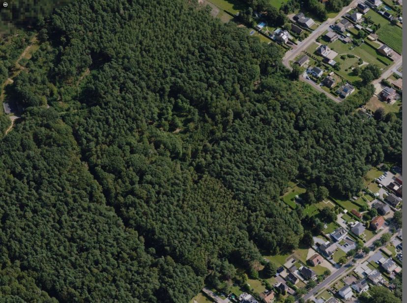 Perceel bosgrond van 34are en 15 centiare in Zutendaal