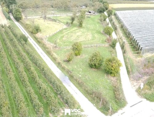                                        Prairie à vendre à Wellen, € 68.000
