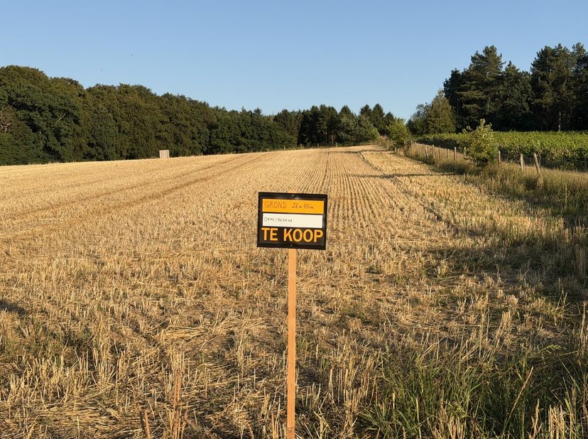 Mooi perceel landbouwgrond gelegen in Oud-Heverlee, deelgemeente Vaalbeek Borgveld, Sint-Joris-Weertstraat.<br />
Gunstige perceelconfiguratie, vlotte