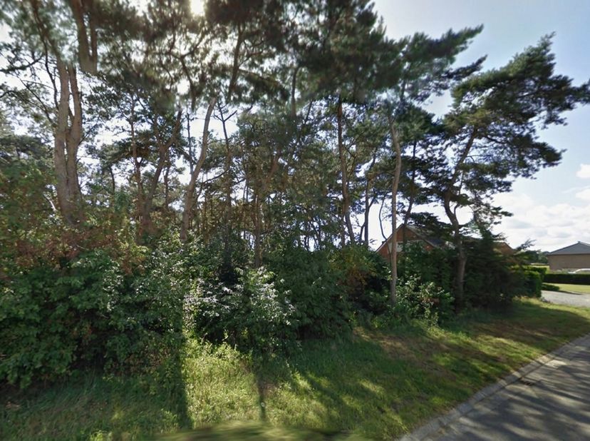 Grond te koop in Molenveld zn,
                    2490 Balen