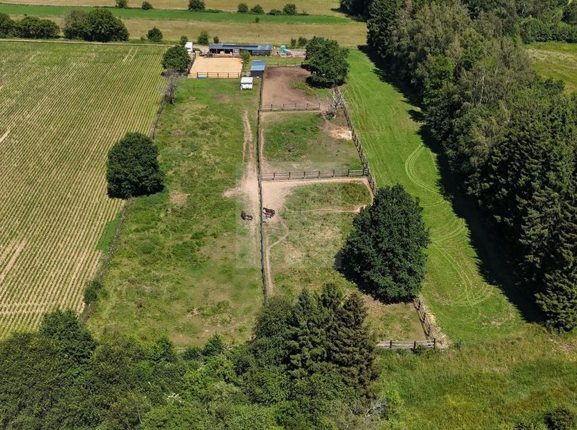 Grond te koop
                    in 6700 Heinsch