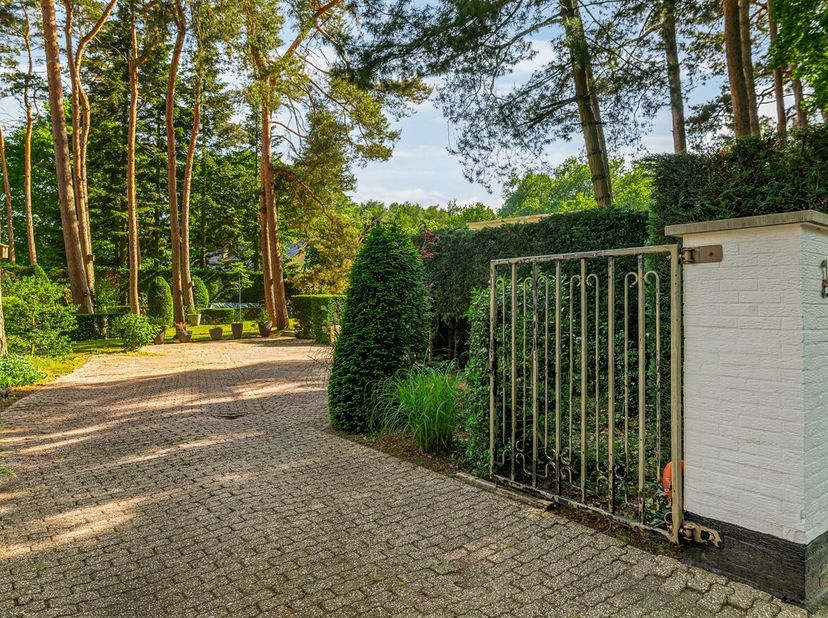 In de rustige en residentiële Berkenlaan te Waasmunster bevindt zich deze ruime laagbouwwoning uit de jaren 70, gelegen op een prachtig perceel van 1.