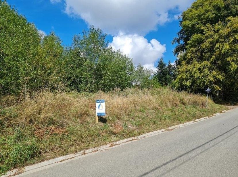Grand terrain de +/- 80 ares, magnifiquement situé dans une rue calme avec peu de passage, sur les hauteurs du village de Warmifontaine.&amp;nbsp;<br />
<